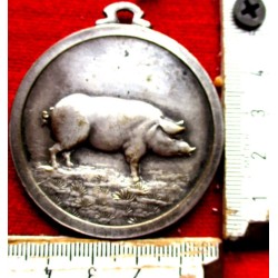aus 1935 Schweine Vedrin Medaille Belgien Landwirtschaft 50 mm/