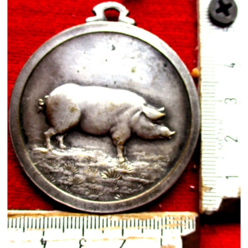 aus 1935 Schweine Vedrin Medaille Belgien Landwirtschaft 50 mm/